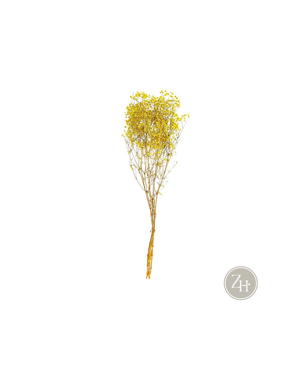 Manojo de flor de paniculata seca - mueblescartón.es