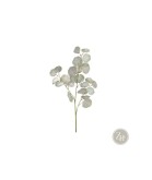 Flores decorativas: Ramos de flores y Estilo natural | Zulmi