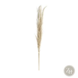 Ramillete flores secas PAMPA